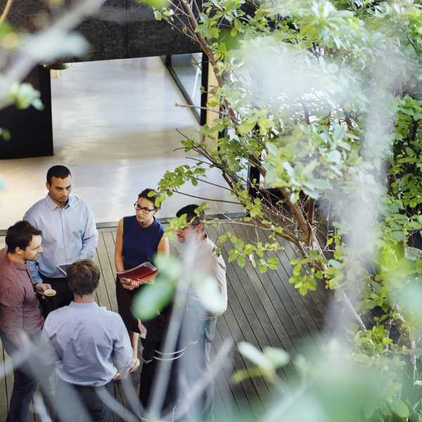 Image of colleagues talking to each other