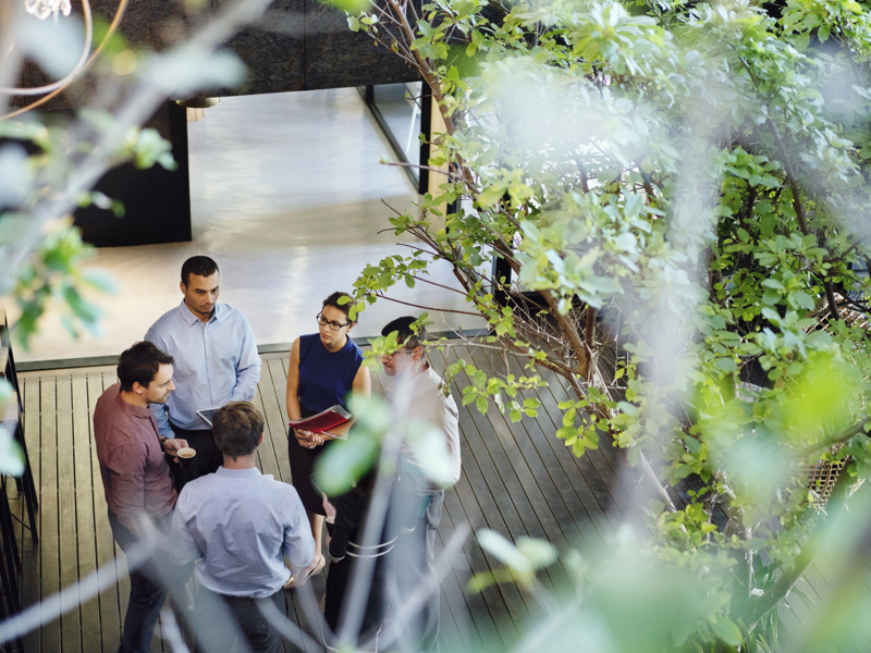 Image of colleagues talking to each other