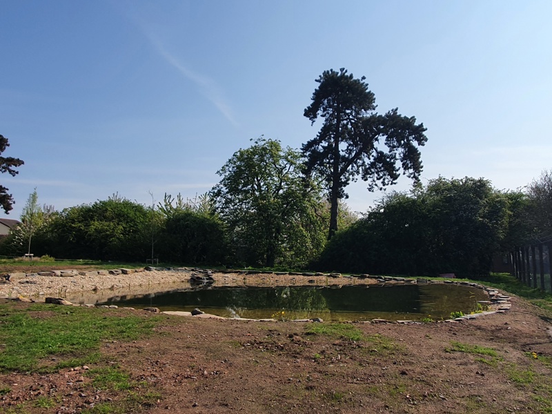 Image of a large outdoor pond in a rural area.